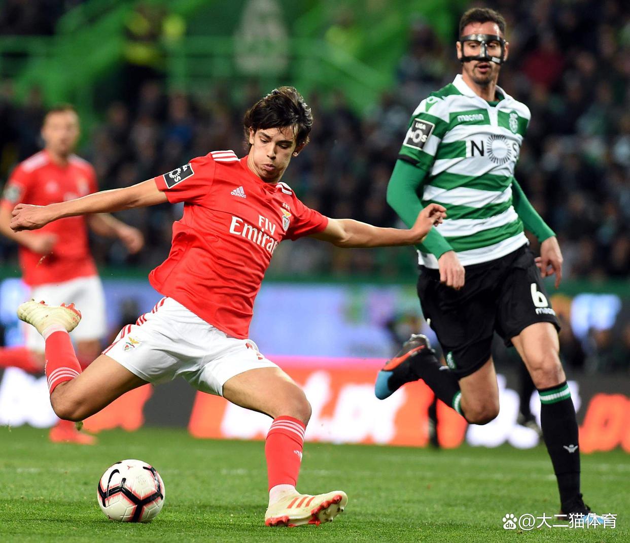 本菲卡迎NBA总决赛关键赛，清晨绝杀压哨，赛场秩序良好，年轻球员得到机会的简单介绍